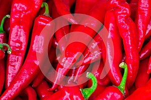 Red hot chilli peppers pattern texture background. Close up. Lan