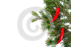 Red hot chilli peppers