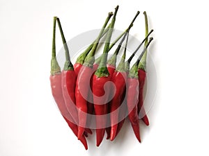 Red hot chilli on white background