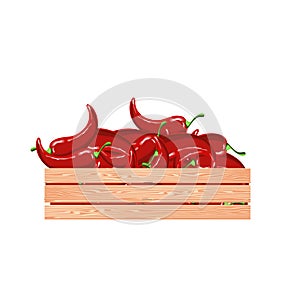 Red hot chilly papper in wood box. Vegetarian food art design element stock vector illustration