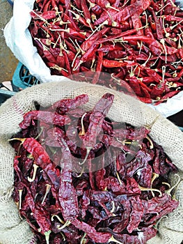 Red hot chilly pepper in bags