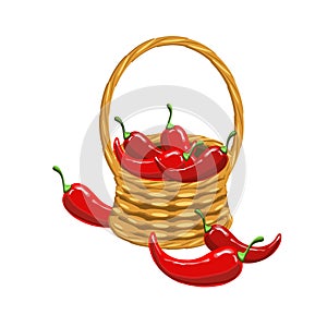 Red hot chilly pepper in basket wicker with a vine. Art design elements object isolated stock vector illustration