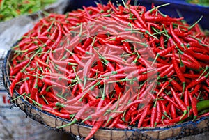 Red hot chilly peppers