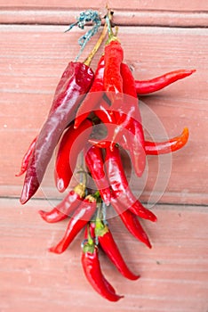 Red hot chilly peppers hanging on a wire