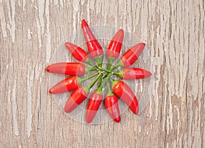 Red hot chilly peppers mandala