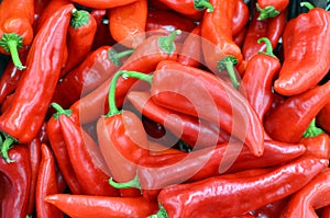 Red hot chilly peppers in a pile for sale - many red peppers background