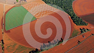 Red-hot crop circles so boring fields on the ground so exciting fields from the air