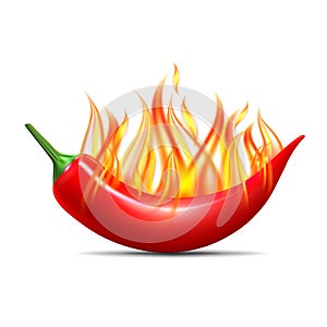 Red hot flaming chili pepper pod. Design for culinary products, spice package, recipe or cooking book.