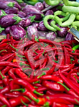 Red hot fresh raw chili peppers, eggplants and zucchini