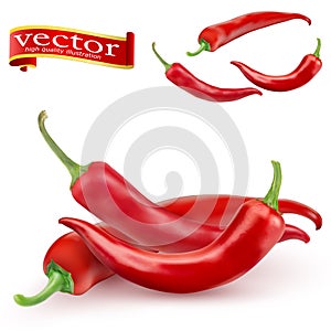 Red hot natural chili pepper pod realistic image with shadow vector illustration.