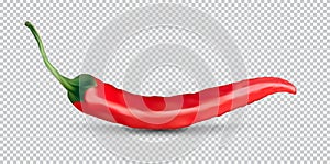 Red hot natural chili pepper pod realistic image with shadow for culinary products and recipes vector illustration