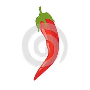 Red hot natural chili pepper pod realistic image with shadow vector illustration. Design for grocery, culinary products