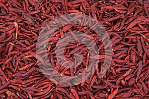 Red hot pepper photo