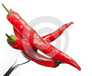 Red hot pepper