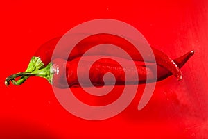 Red hot pepper on a red background
