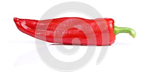 Red Hot Pepper on white