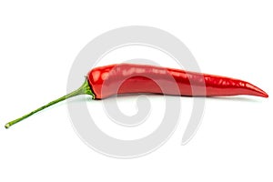 Red hot pepper on a white background