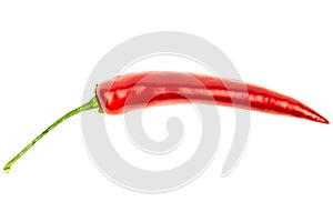 Red hot pepper on a white background