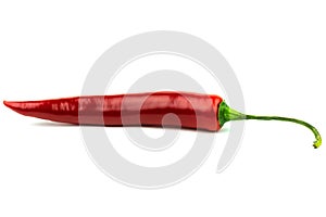 Red hot pepper on a white background