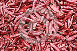 Red hot pepperss photo