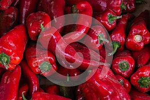 Red hot ripe pepper. Background or texture of red hot peppers. Collection and sale of hot peppers. Close-up