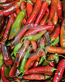 Red hot ripe peppers close-up.