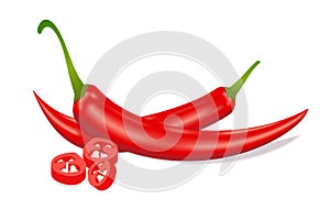Red hot sliced chili pepper. Realistic style illustration.