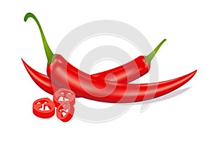 Red hot sliced chili pepper. Realistic style vector illustration.