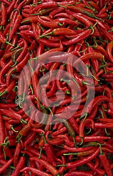 Red hot spicy chillis peppers background