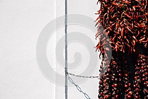 Red hot spicy dried chilli peppers paprika on wall in Szentendre, Hungary