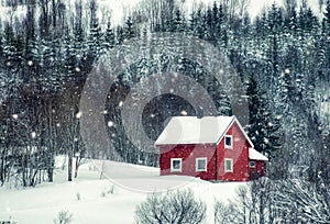 Red house with snowing in pine forest photo