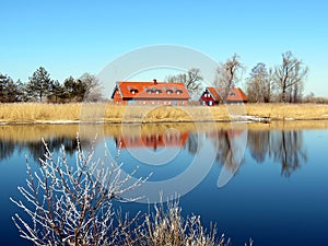 Red houses