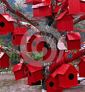 Red Houses