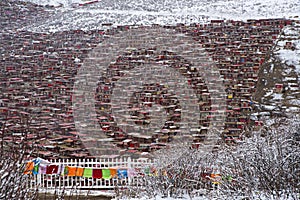 Red houses at Larung Gar Buddhist Academy