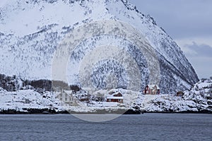 Red houses near Bergsfjorden-shoreline