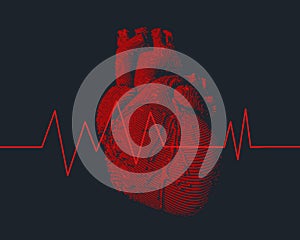 Red human heart with heart rate graph illustration