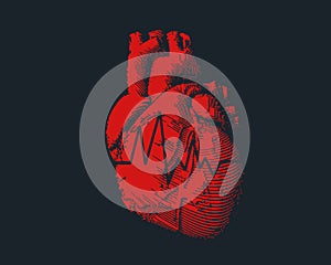 Red human heart with heart rate graph illustration