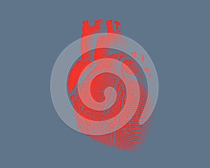 Red human heart illustration on gray BG