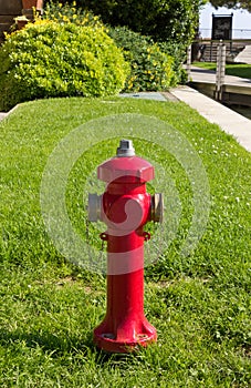 Red Hydrant in a Public Park