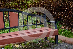 Red iron-wooden bench in an autumn park overcast day after a rain