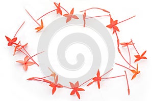 Red Ixora flower photo frame