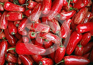 Red Jalapeno Peppers