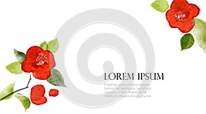 Red japanese camelia flowers on white background with place for your text. Traditional Japanese ink wash painting sumi-e