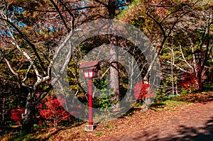 Red Japanese lamp at Chureito Pagoda walking trail Arakurayama Sengen Park - Fujiyoshida photo