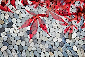 Red japanese maple leaves, zen stones