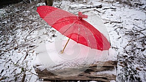 Red Japanese umbrella on snowy log