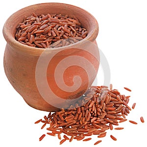 Red Jasmine rice