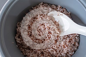 Red jasmine rice in cooker