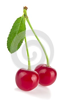 Red juicy cherries isolated on white background