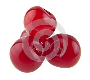 Red juicy cherry isolated on white background